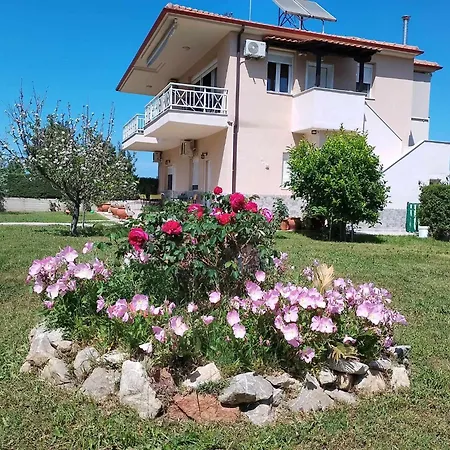 Alexandra's Garden *