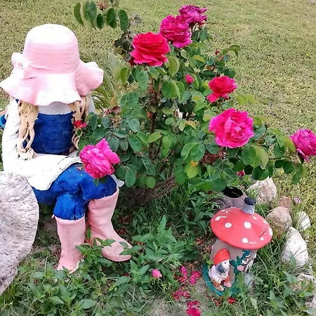 Daire Alexandra's Garden